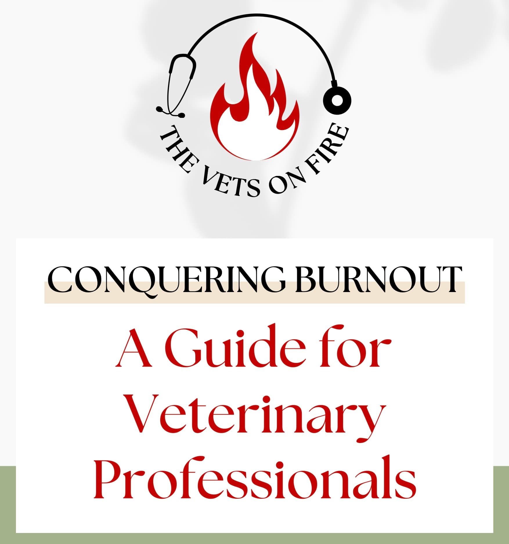 The Vets On Fire Guidebook